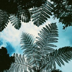 Meet your Posher, Cameron